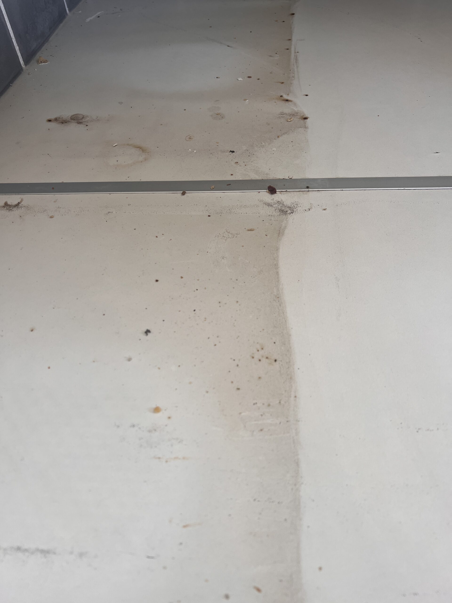 Before cleaning, commercial premises in Mid Sussex