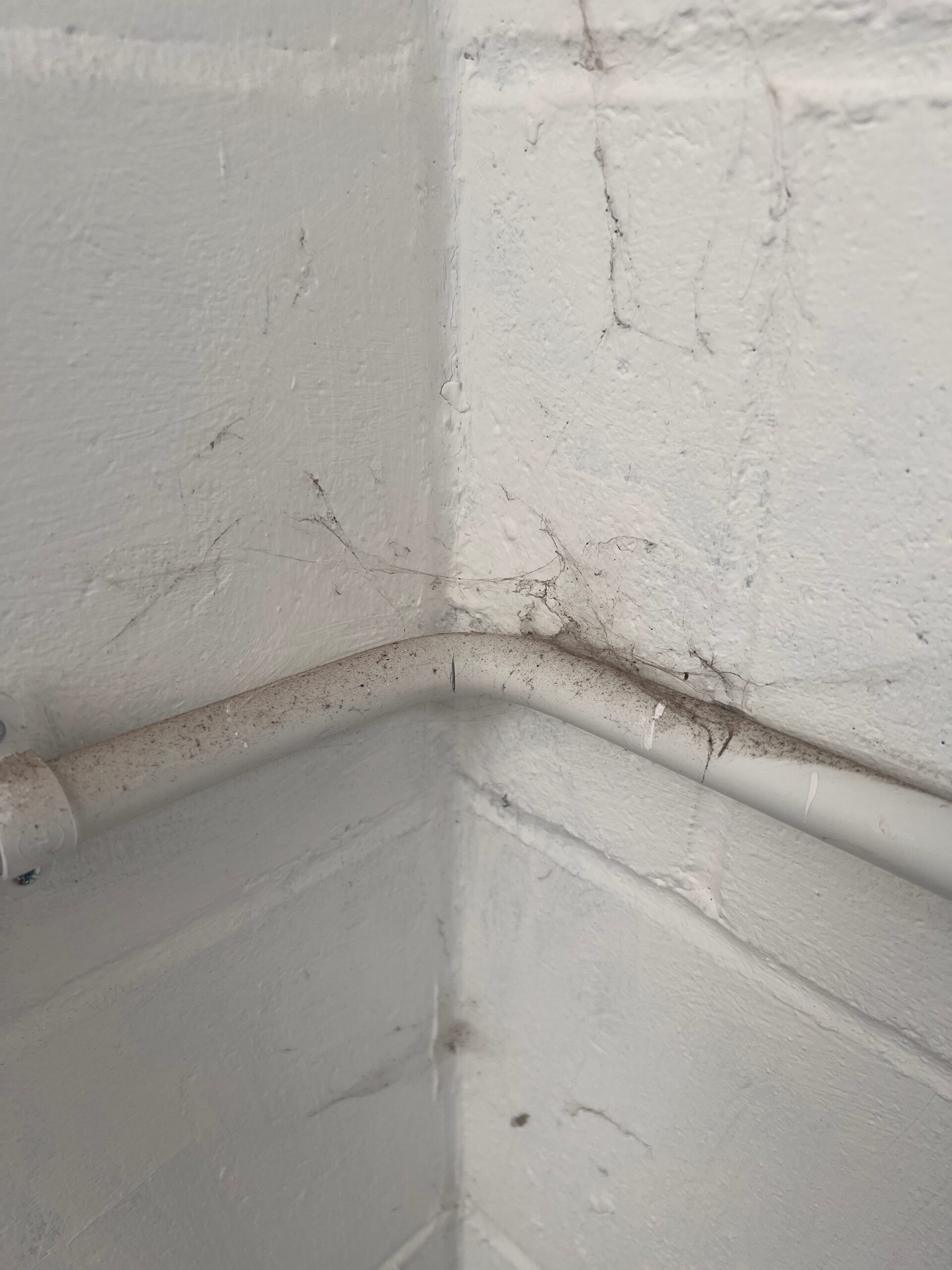 After professional cleaning by Clean & Co in Mid Sussex