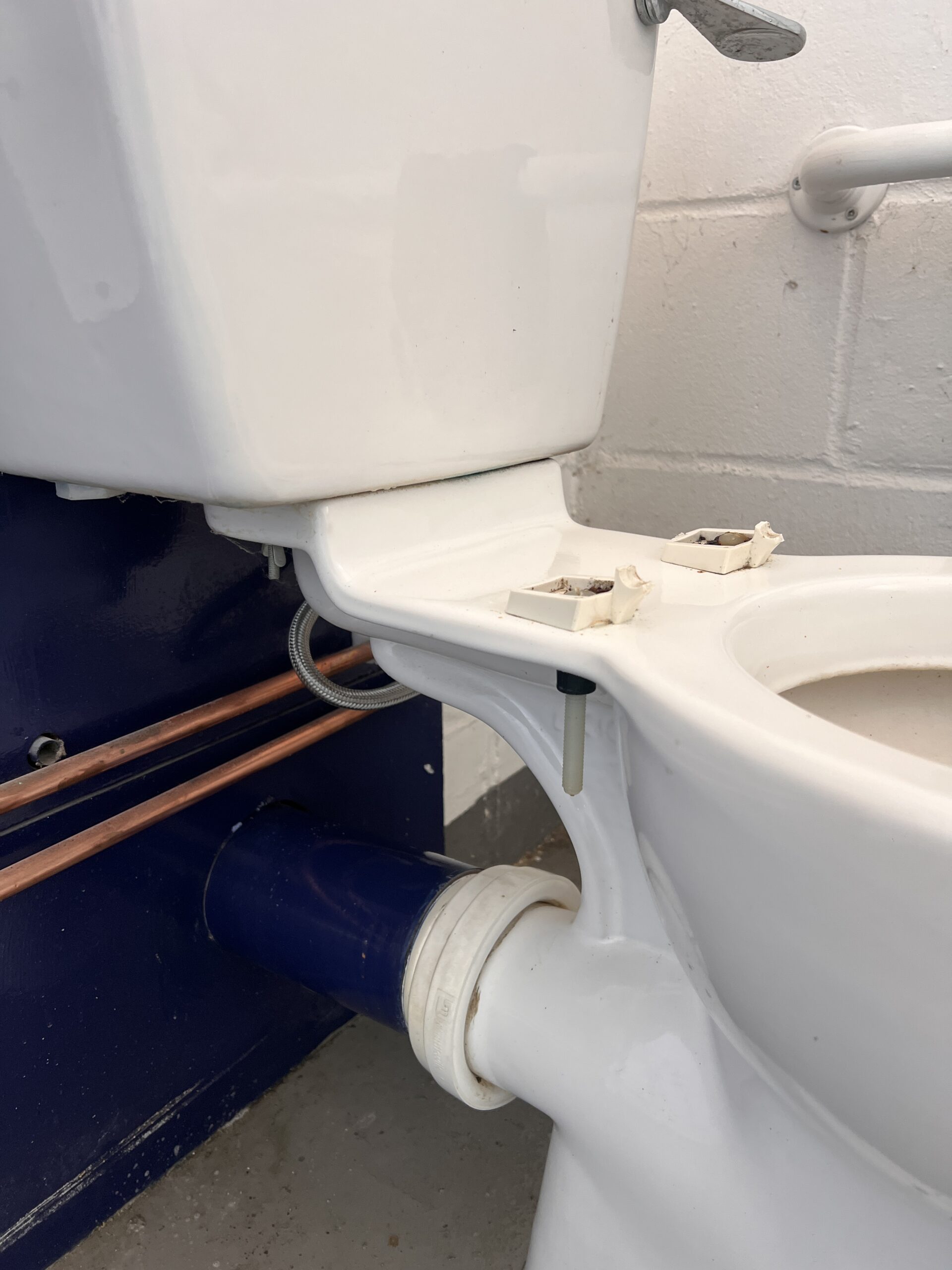 Toilet surface around the seat fittings after cleaning by Clean & Co